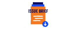Issue Brief icon
